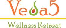 Veda5 Luxury Ayurveda and Yoga Retreat in Rishikesh Himalayas India Logo