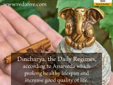 Dincharya The Daily Regimes by Veda5 Ayurveda & Yoga Wellness Retreat in Rishikesh, Kerala & Goa, India