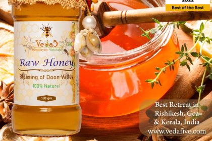 Honey is One of The 3 Best Medicines by Veda5, Best Ayurveda & Yoga Wellness Retreat in Rishikesh, Kerala & Goa, India