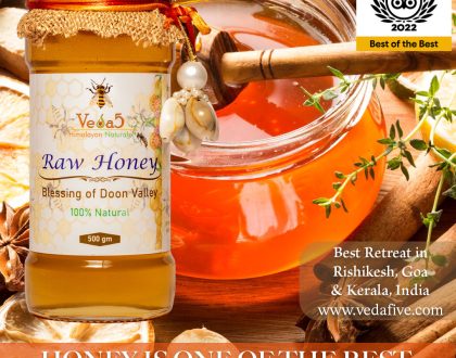 Honey is One of The 3 Best Medicines by Veda5, Best Ayurveda & Yoga Wellness Retreat in Rishikesh, Kerala & Goa, India