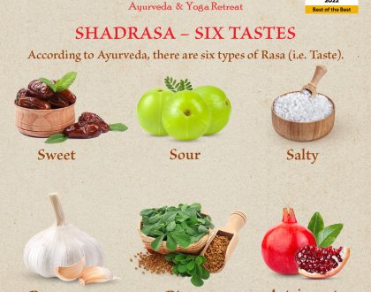 Shadrasa – Six Tastes by Veda5, Best Ayurveda & Yoga Wellness Retreat in Rishikesh, Kerala & Goa, India