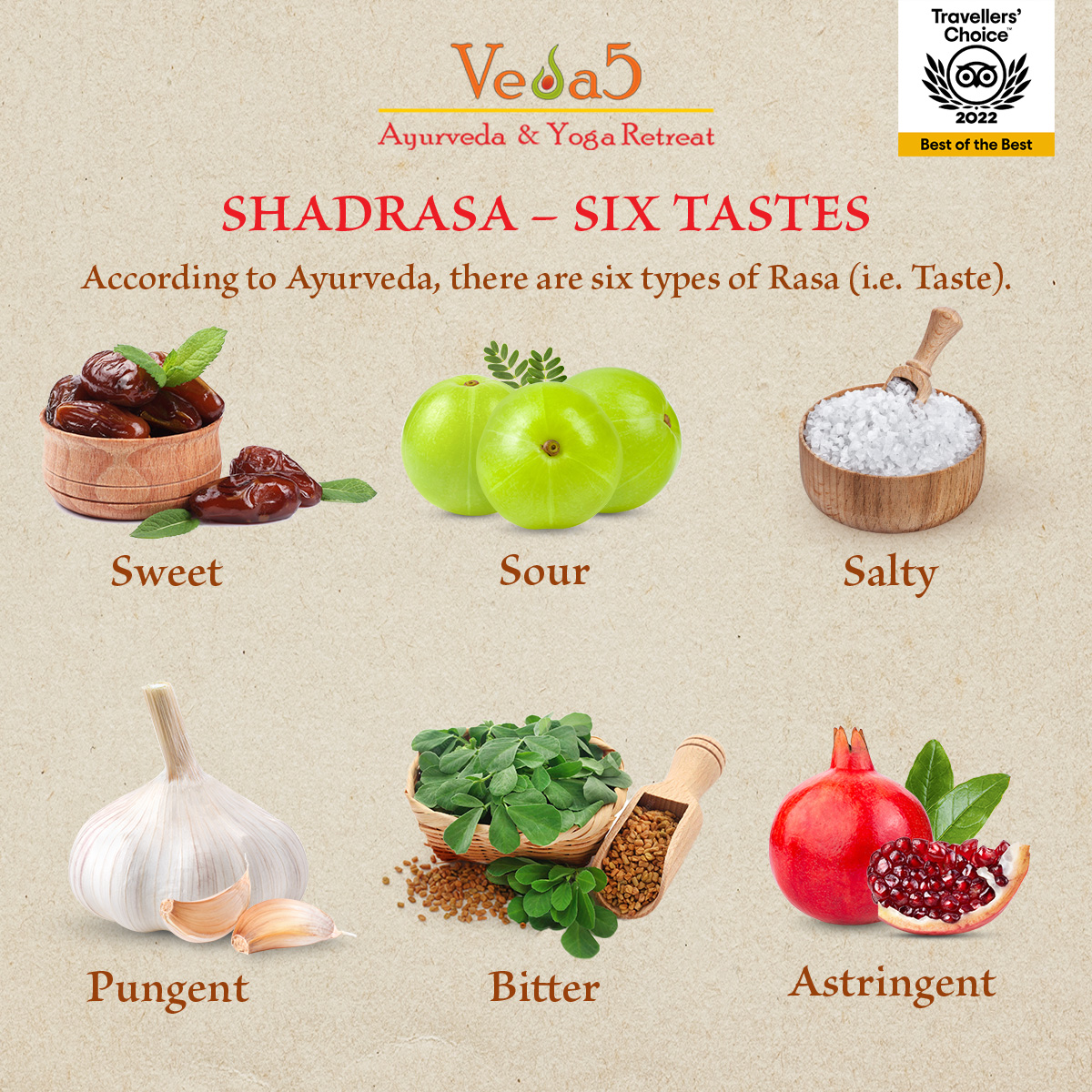 Shadrasa – Six Tastes by Veda5, Best Ayurveda & Yoga Wellness Retreat in Rishikesh, Kerala & Goa, India