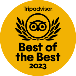 Veda5 Ayurveda Yoga Retreat Goa is Tripadvisors Best of the Best 2023