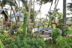 Beautiful Retreat Resort in Kerala - Yoga Naturopathy Ayurveda - Veda5 Wellness Thrissur - 34 2Y3A8454