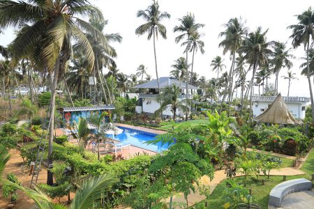 Swimming Pool - Best Ayurveda Yoga Naturopathy Retreat Resort in Kerala - Veda5 Wellness Thrissur - 26 Swimming Pool - Best Ayurveda Yoga Naturopathy Retreat Resort in Kerala - Veda5 Wellness Thrissur - 26